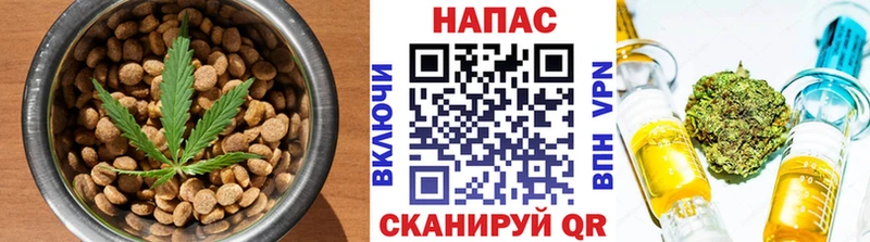 где можно купить наркотик  omg онион  Canna-Cookies конопля  Нижнекамск 