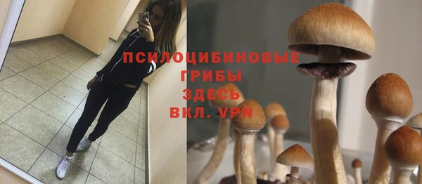 mdma Верхний Тагил